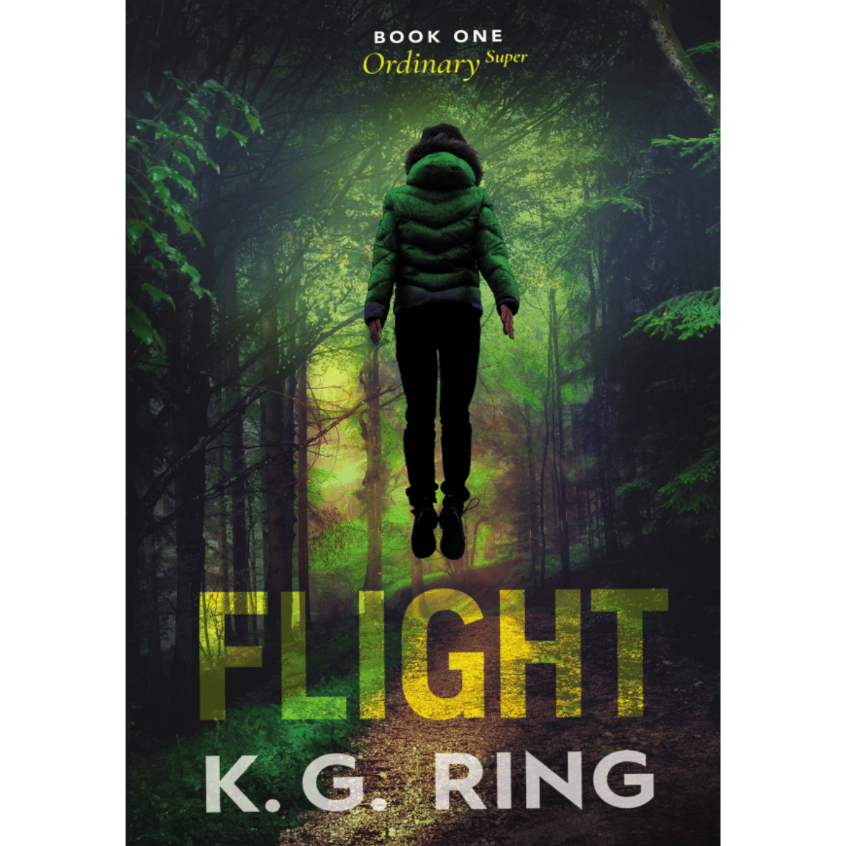 The book cover.