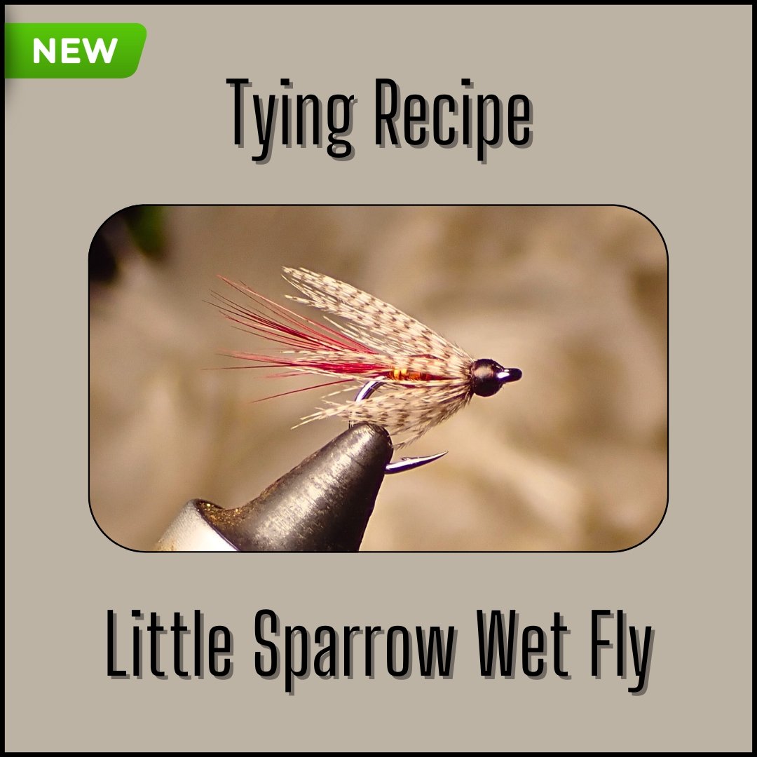 Little Sparrow wet fly tying recipe for trout and panfish by The Fly Guy, Matt Campbell.