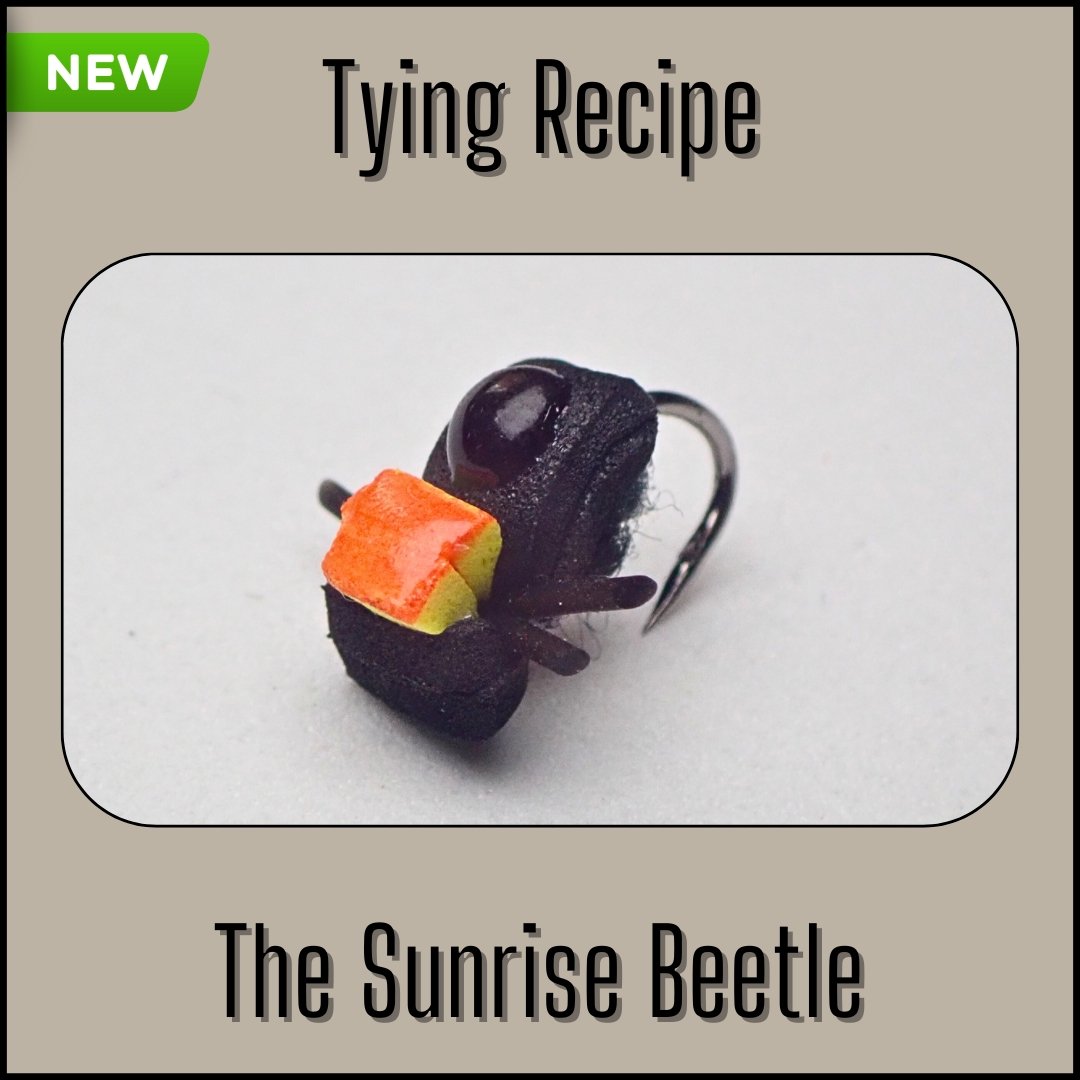 Sunrise Beetle foam fly tying recipe for trout, panfish, and carp.