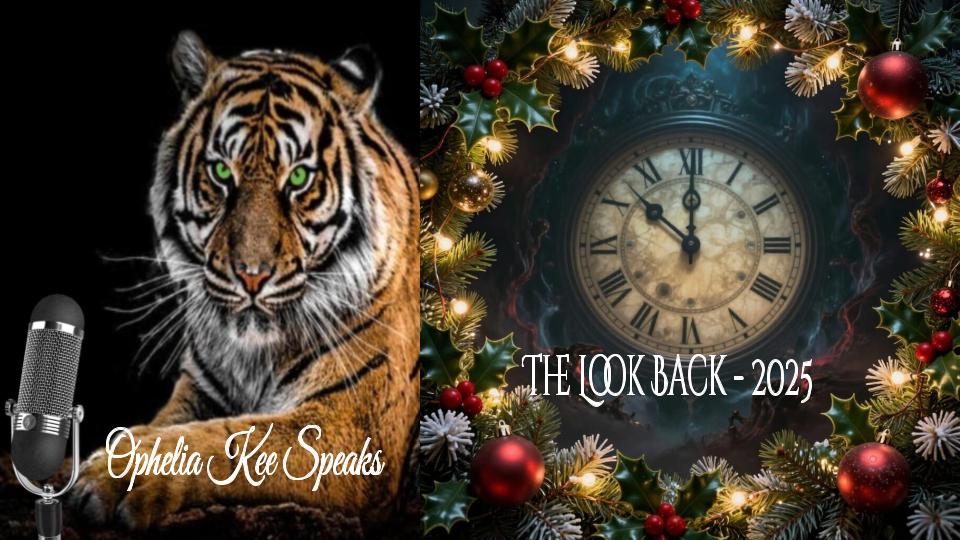 The Look Back - 2025