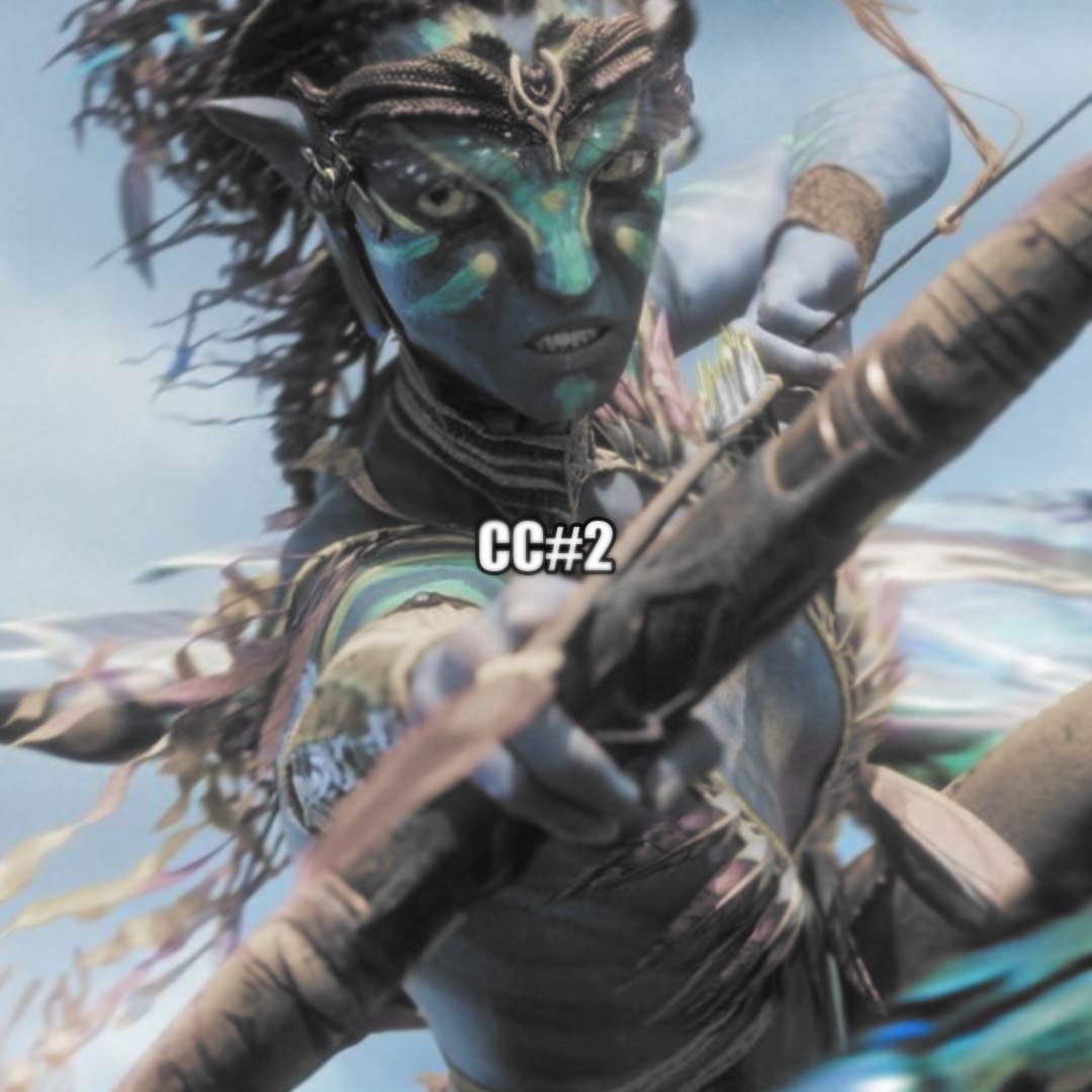 CC bundle - Payhip