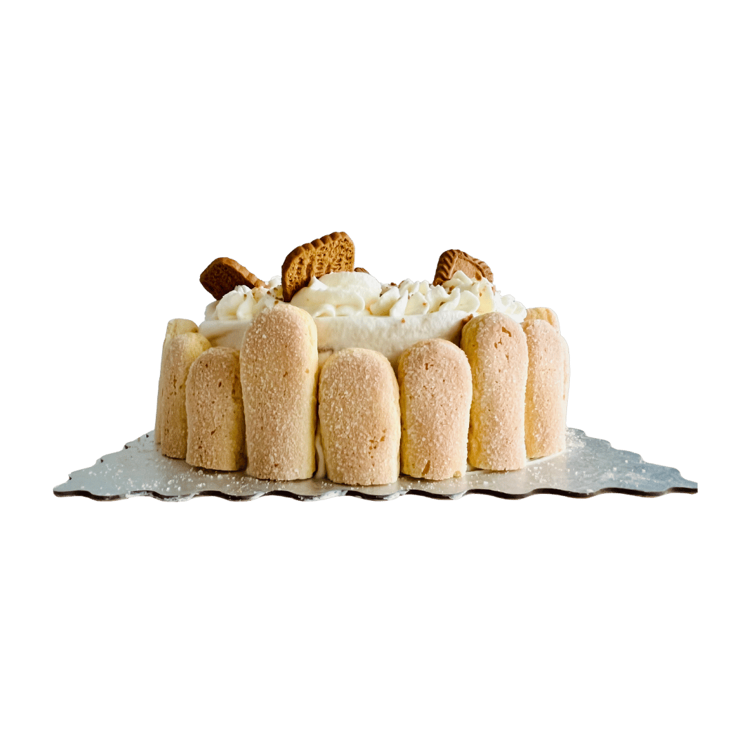 Biscoff Tiramisu Cake - Maska House