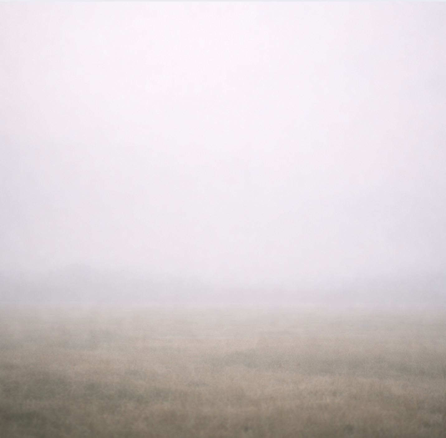 [Quiet Guides] How to Stay Present Without Urgency - Payhip