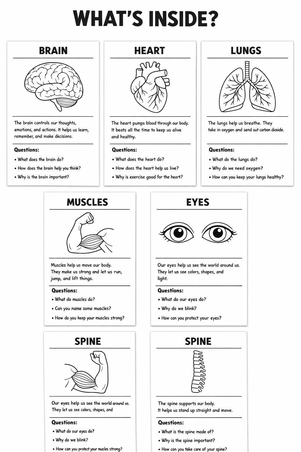 Discover My Body – Fun Read, Color & Learn Anatomy Activities (50 Printables)