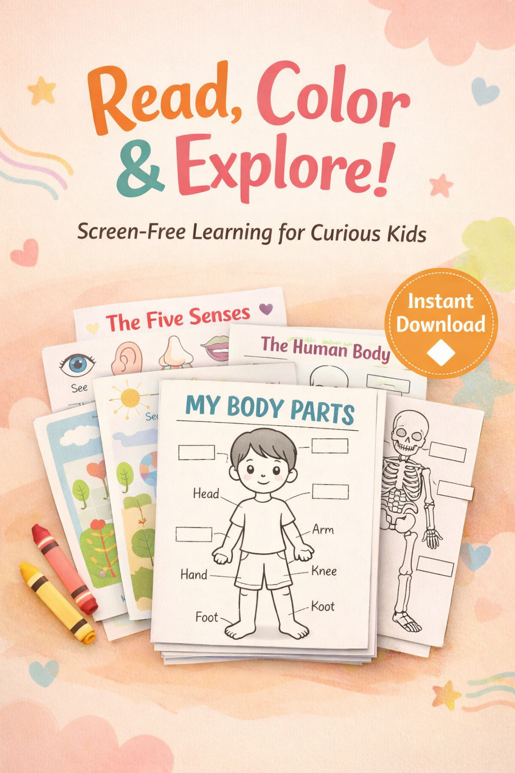 Discover My Body – Fun Read, Color & Learn Anatomy Activities (50 Printables)