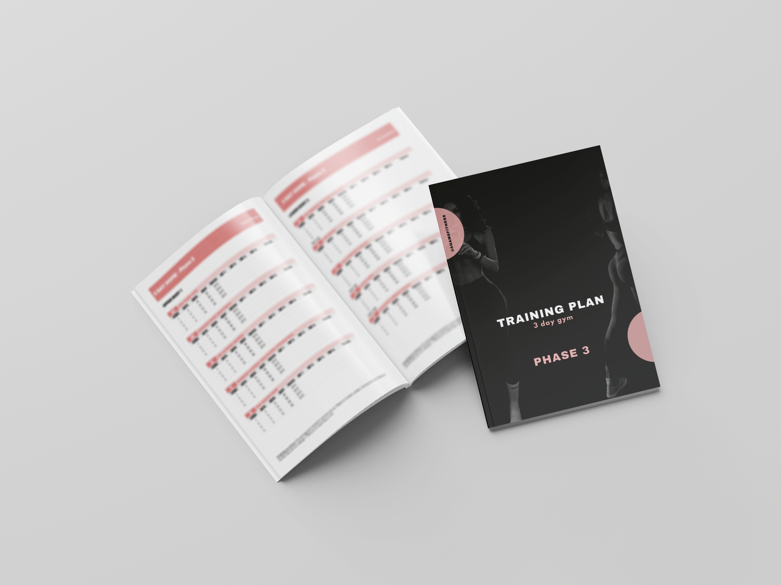 6 Week Training Program - Gym (Phase 3) - Payhip
