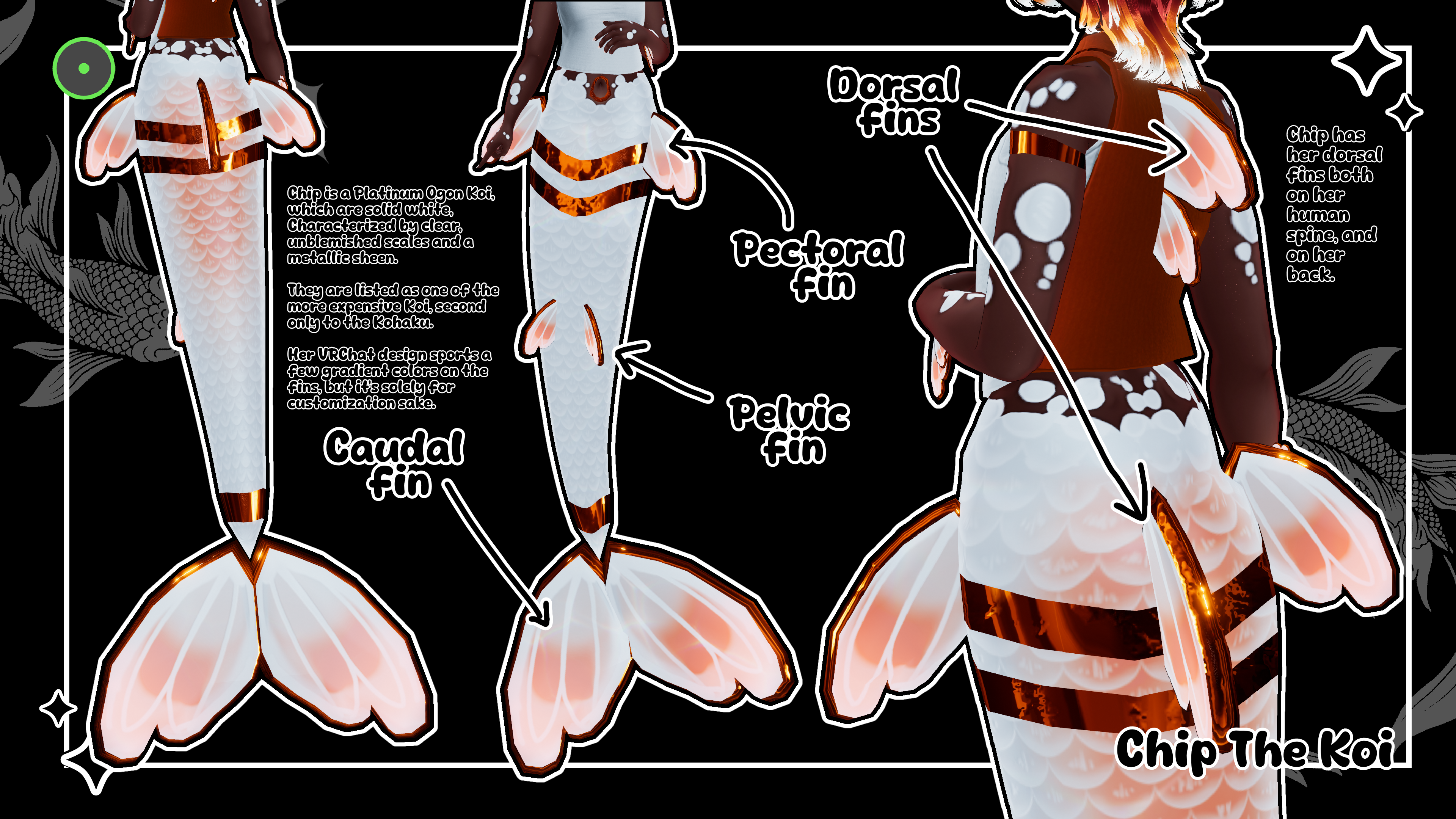 🎏 Chip the Koi Fish [XTRA!] 🎏 Opti 🎏 [ PC OPTI / QUEST VERYPOOR ]