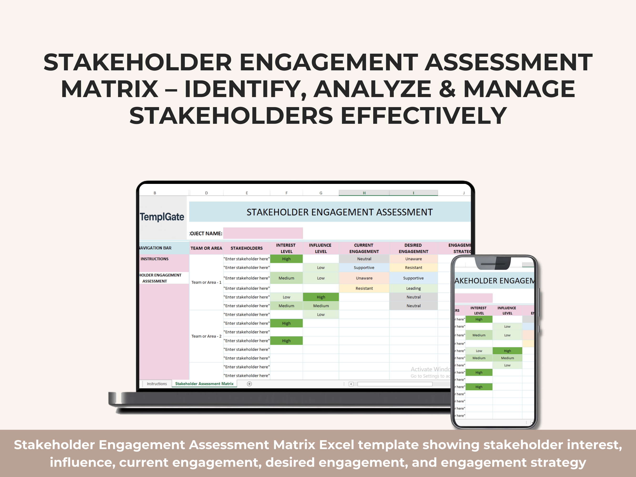 Stakeholder Engagement Assessment Template – Analyze, Prioritize ...