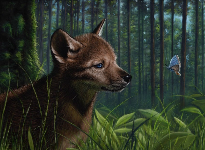 Wolf Cub