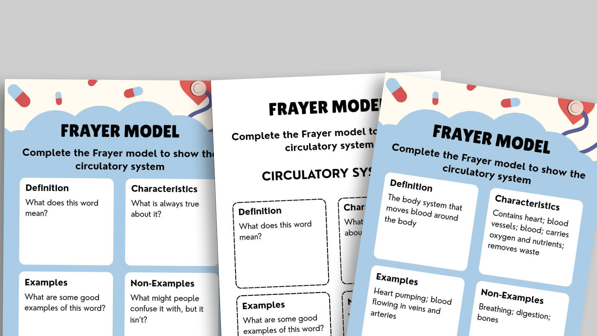 Frayer Model Example Science Year 6 Science Frayer Models – Key Vocabulary Across Units