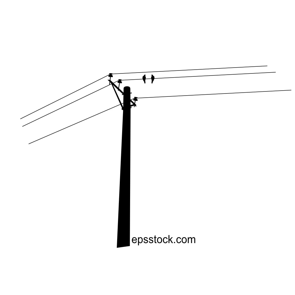 Birds on electric wires