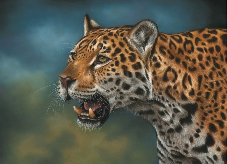 Jaguar