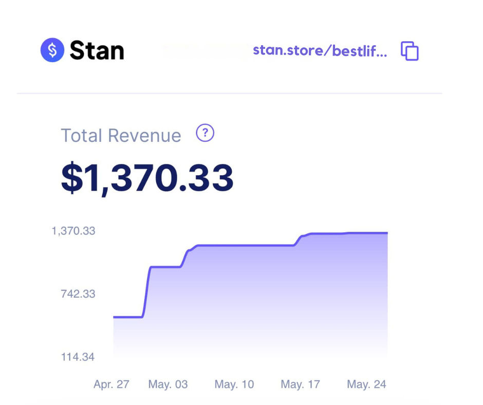 View of a student’s digital reselling dashboard showing monthly earnings and total products sold.