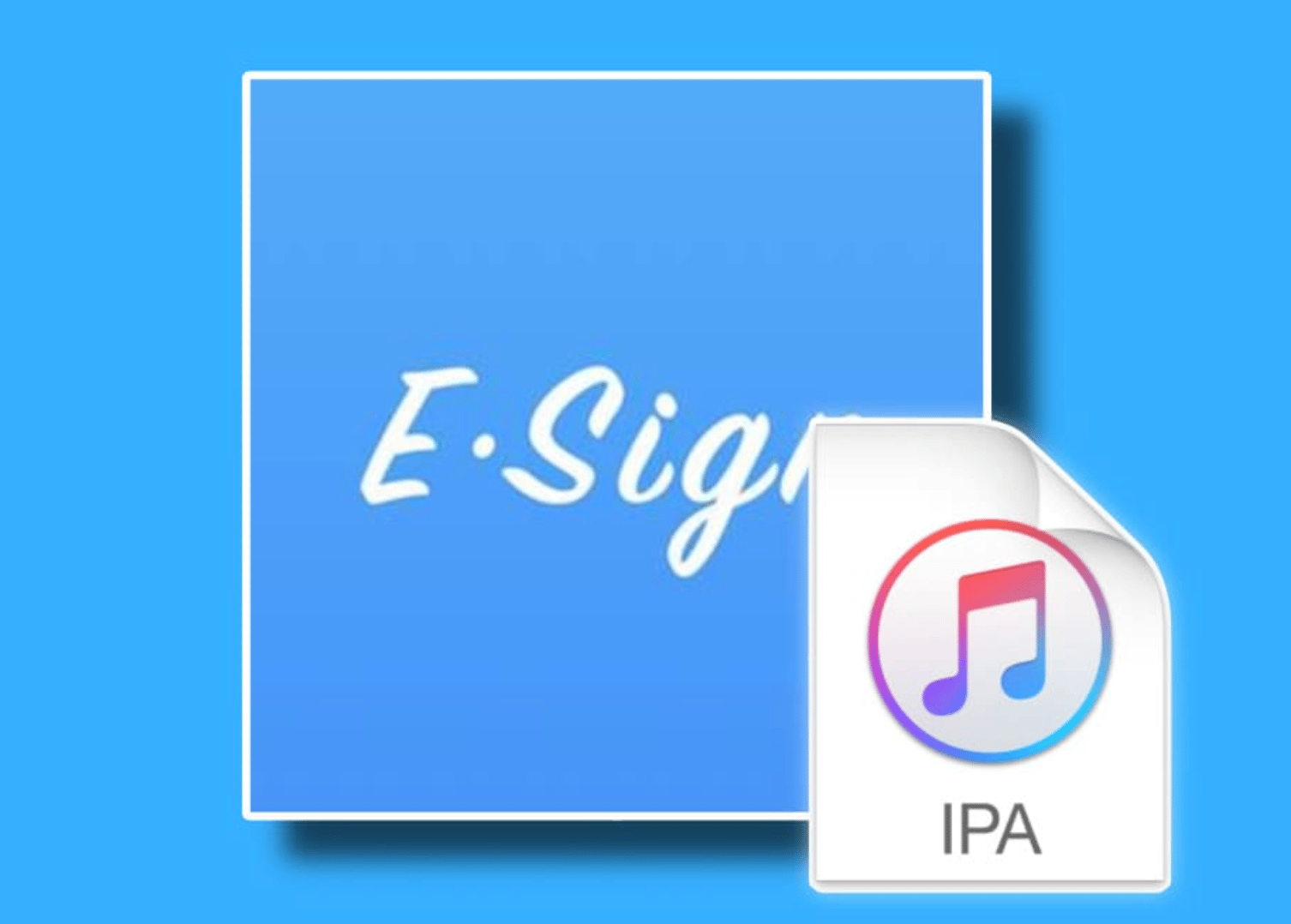 Format Esign ESIGN Certificate (30 days warranty) - Payhip