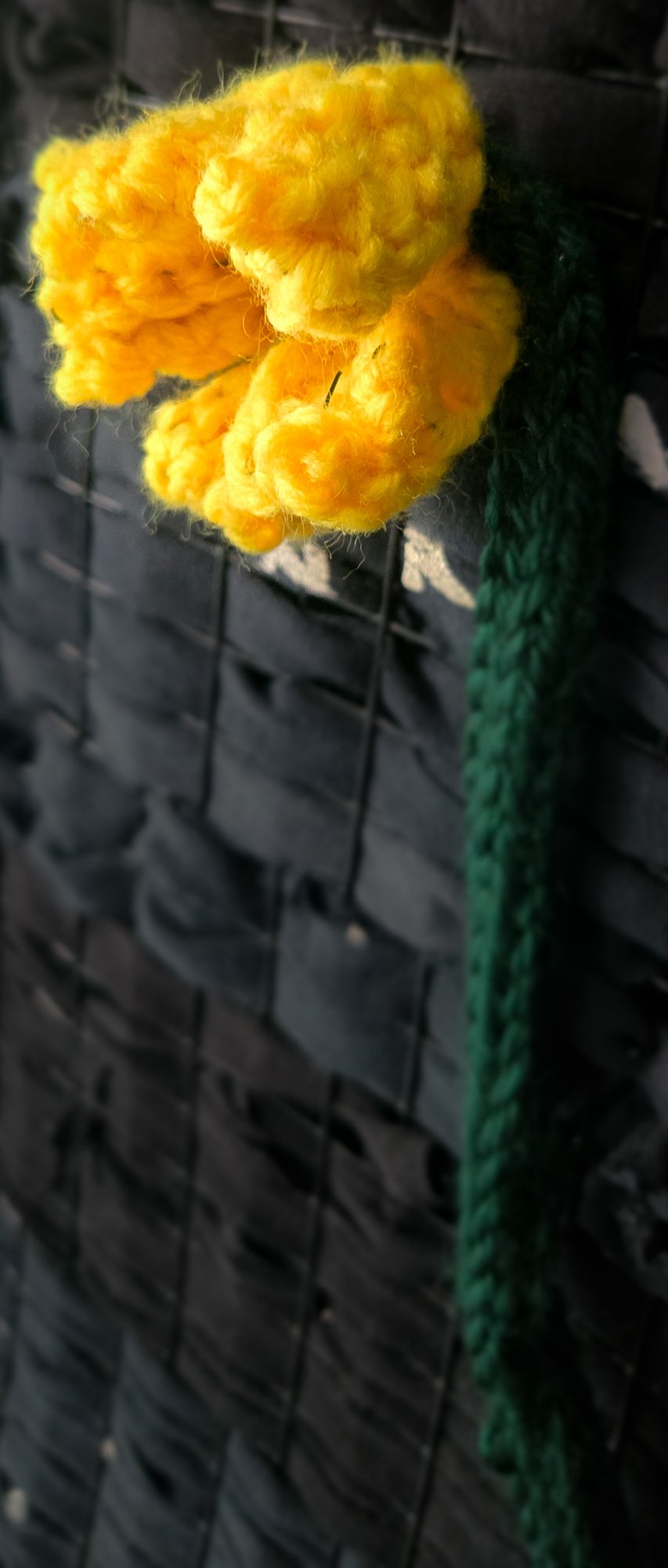Crochet cucumber flower used in fiber art and botanical crochet decor, designed in lab notes style.