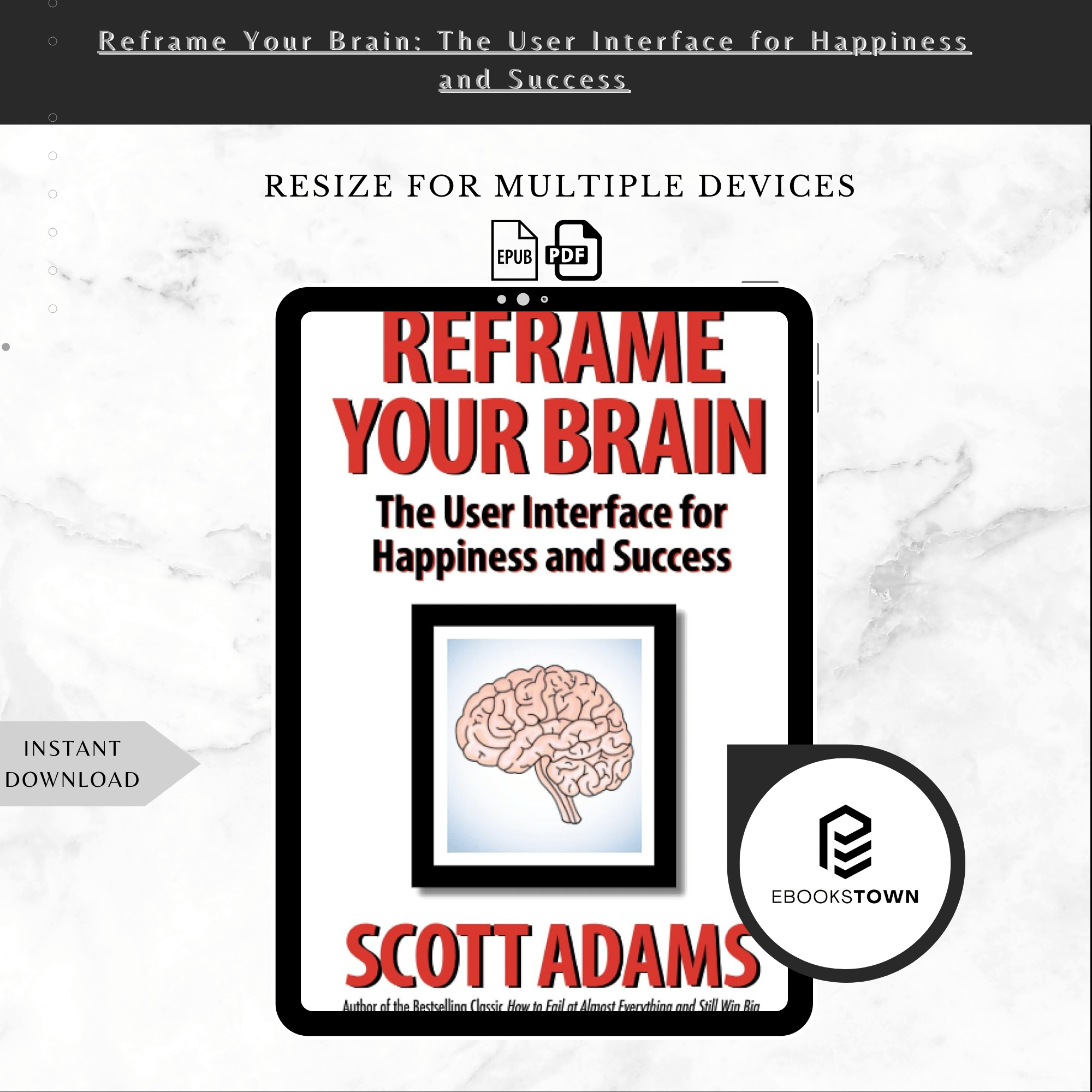 Reframe Success Reframe Your Brain: The User Interface for Happiness and Success by ...