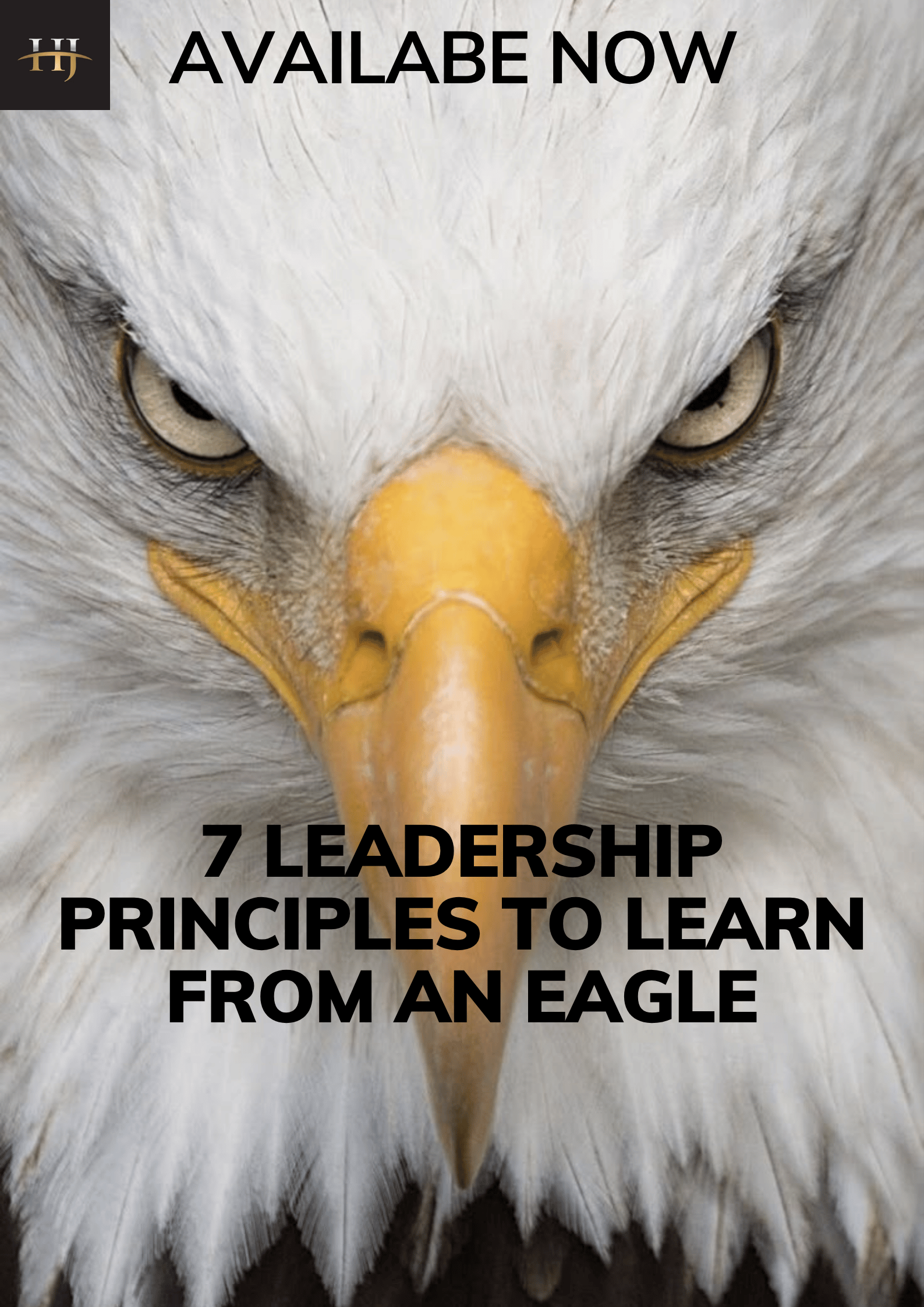 7 Leadership Principles to Learn from an Eagle