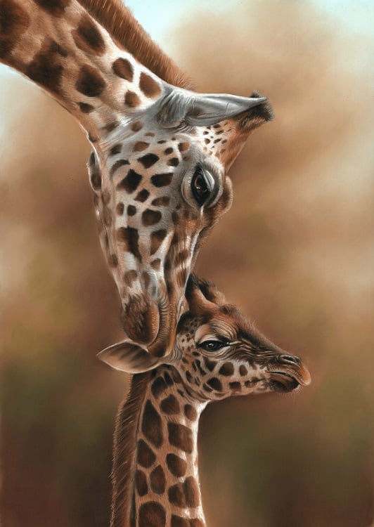 Giraffe