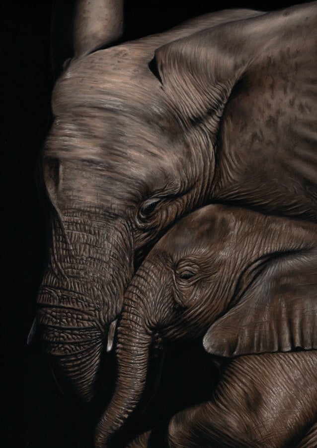 Elephant and Calf