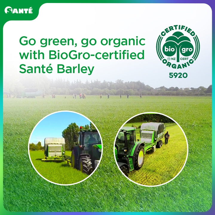 Authentic Santé Barley certified organic powder in individual 3g sachets with stevia.