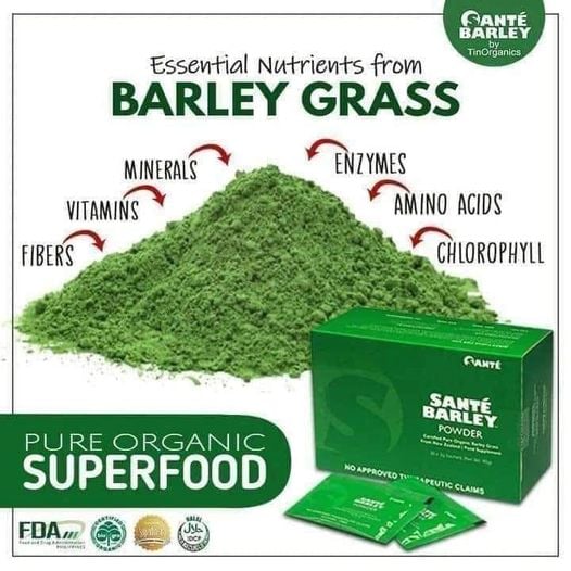 Santé Barley organic powder sachets designed for convenient daily consumption, 3g x 30.