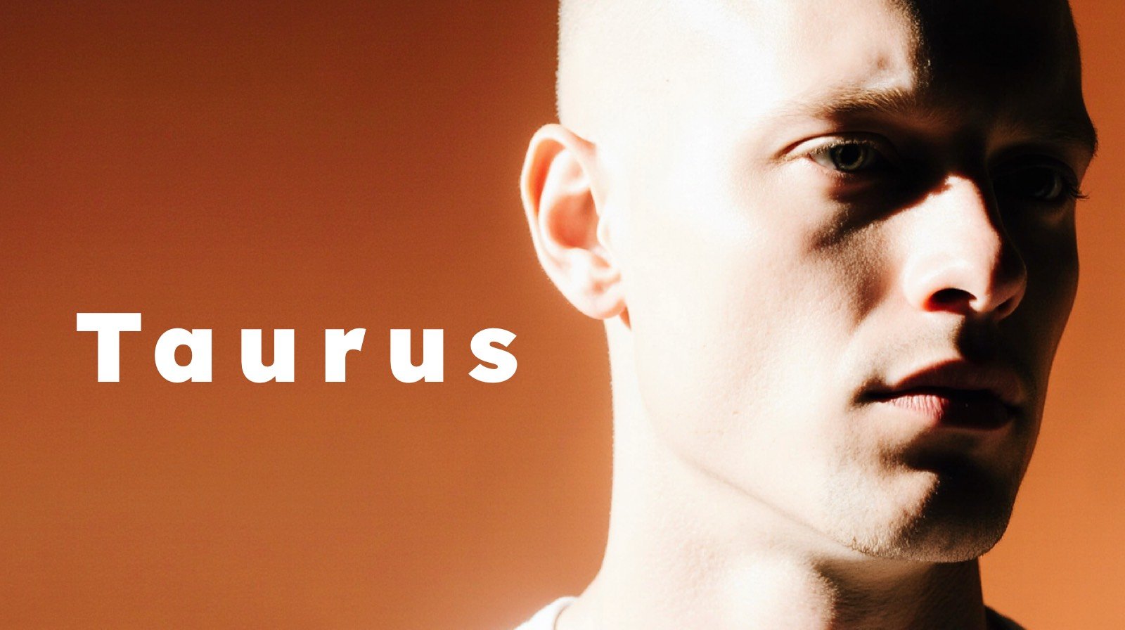 Taurus EXTENDED (January Bonus) - Payhip
