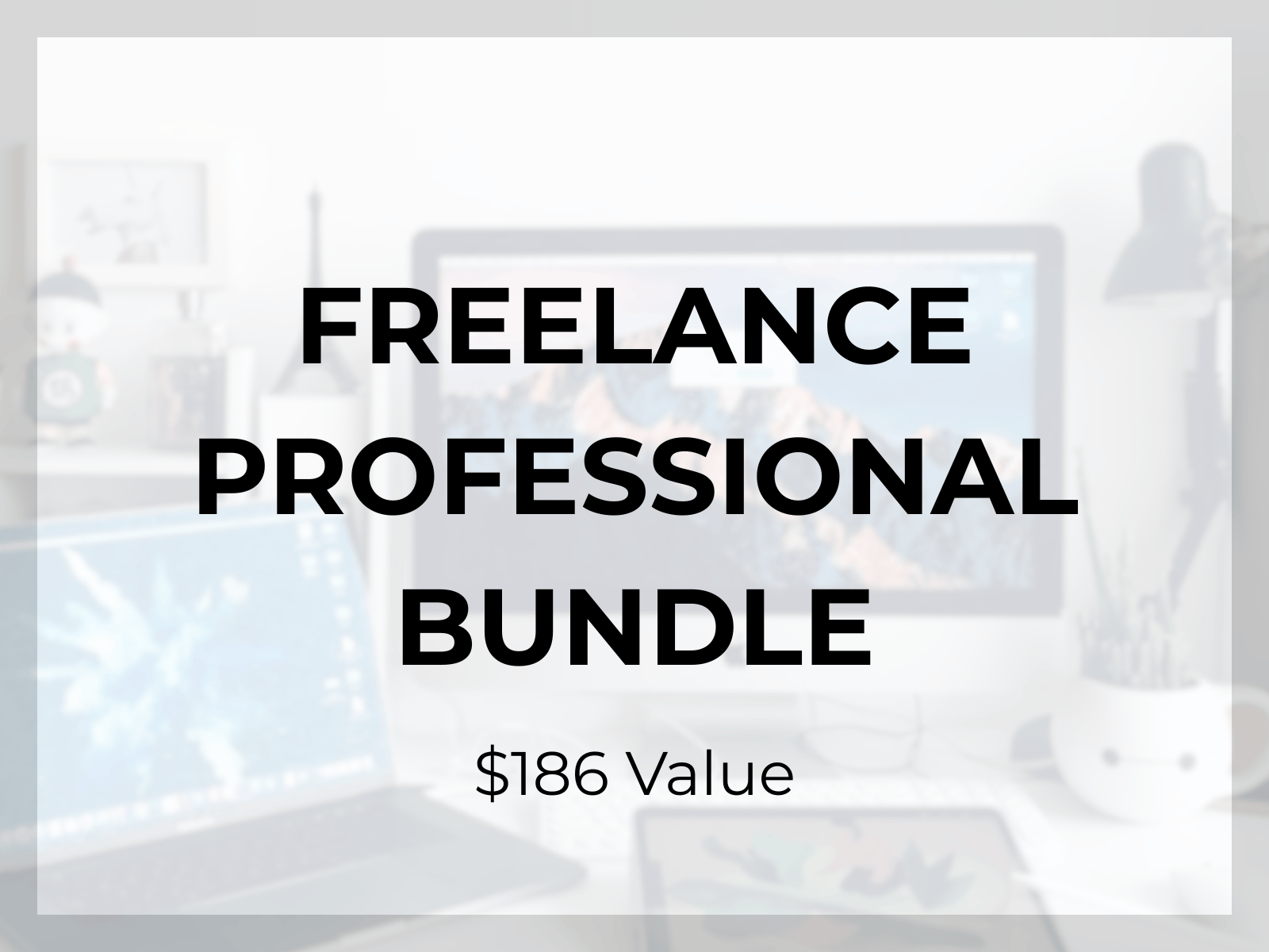 Freelance Professional Bundle - Payhip