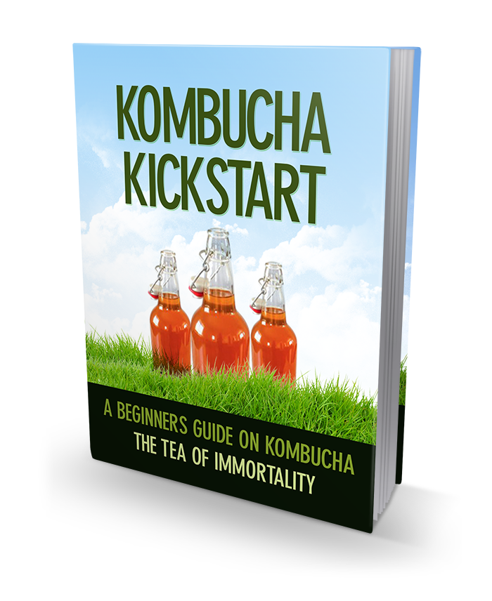 Kombucha Kickstart fermented tea guide eBook
