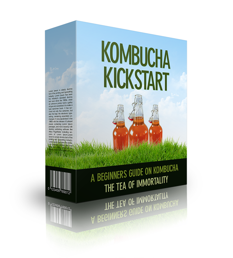 Beginner’s kombucha brewing digital book