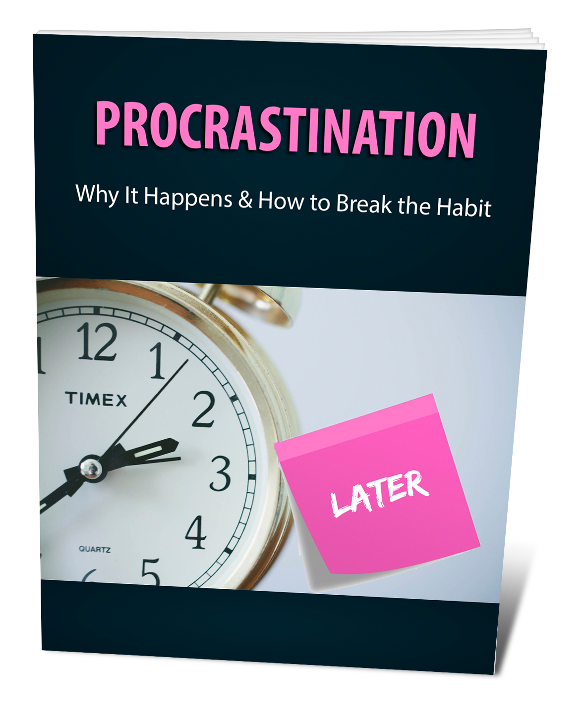 Stop procrastinating guide digital book