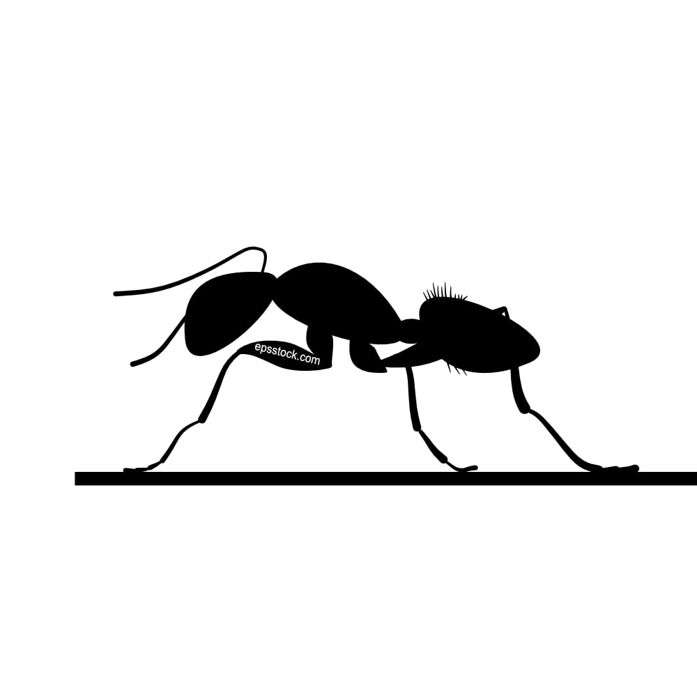 ant profile symbol