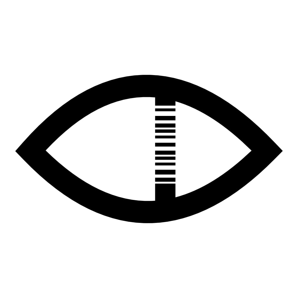 eyes with barcode