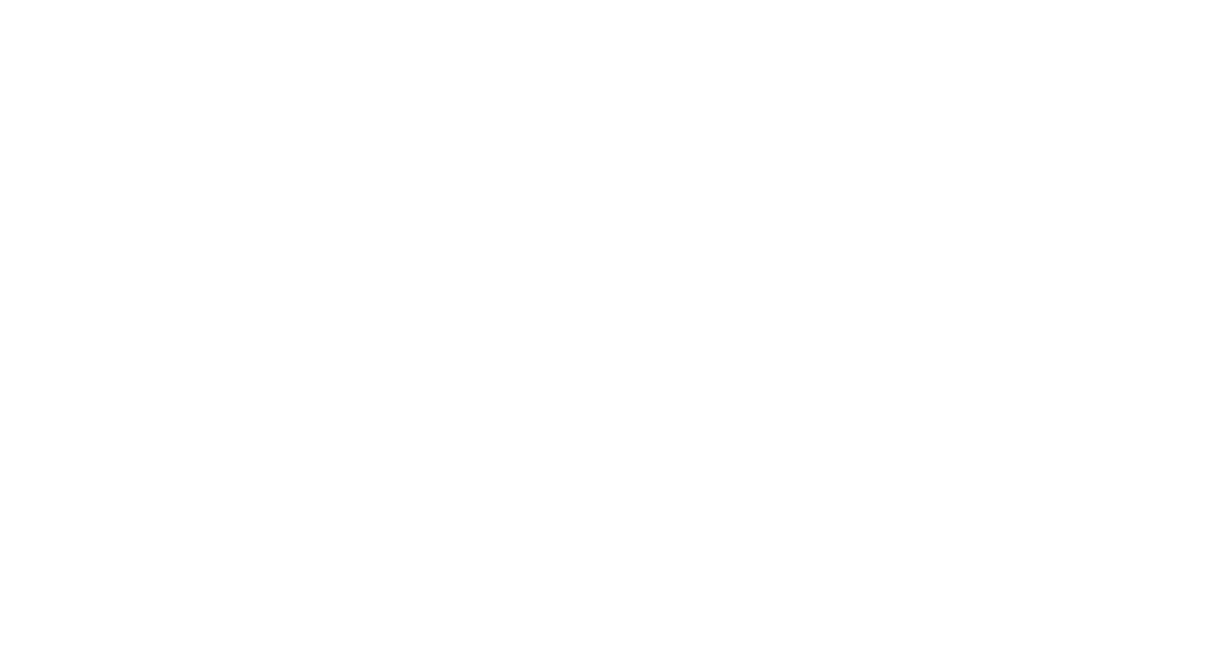 Palladium Hotel Group Logo