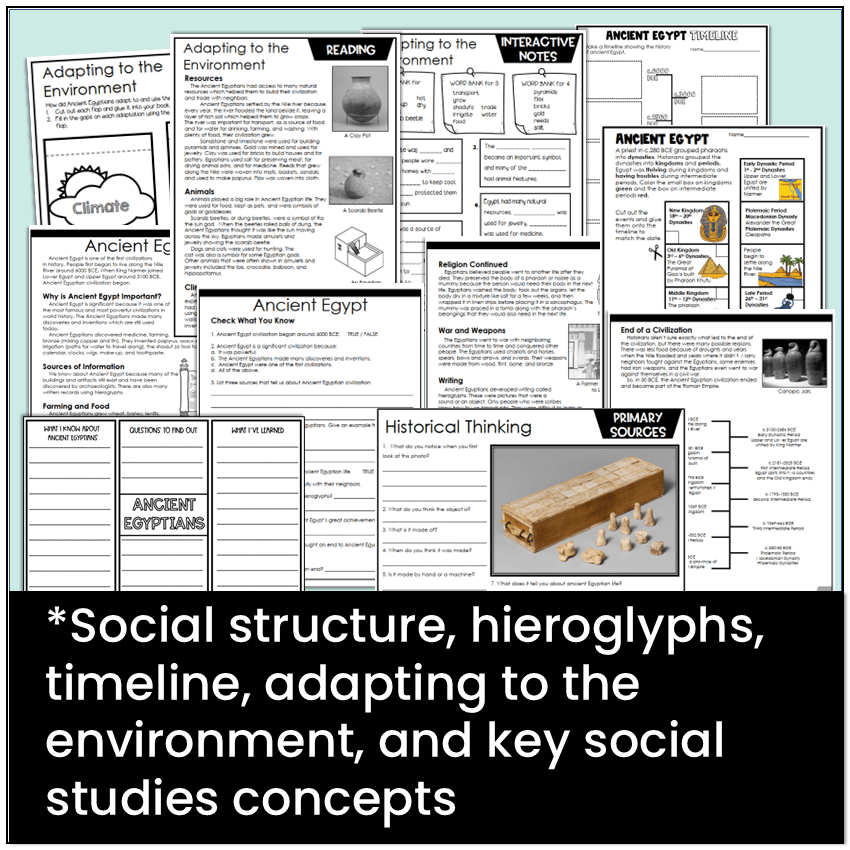 Social structure, hieroglyphs, timeline, adapting to the environment, and key social studies concepts