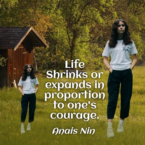Life shrinks or expands in proportion to one's courage. A quote by Anais Nin