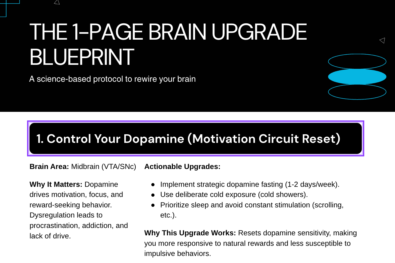 The Brain Upgrade Blueprint - Payhip