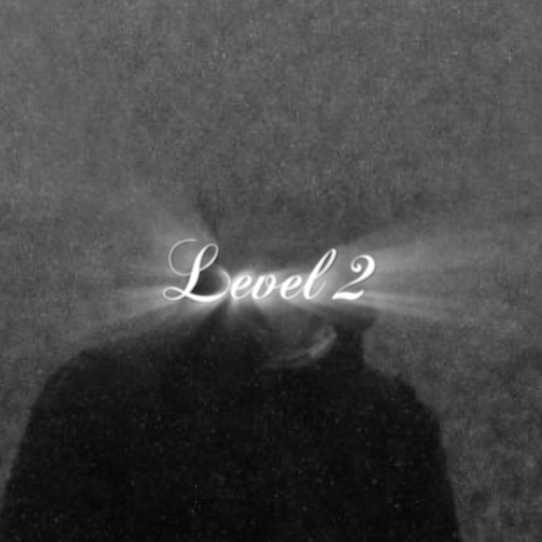 custom edit level 2 - Payhip