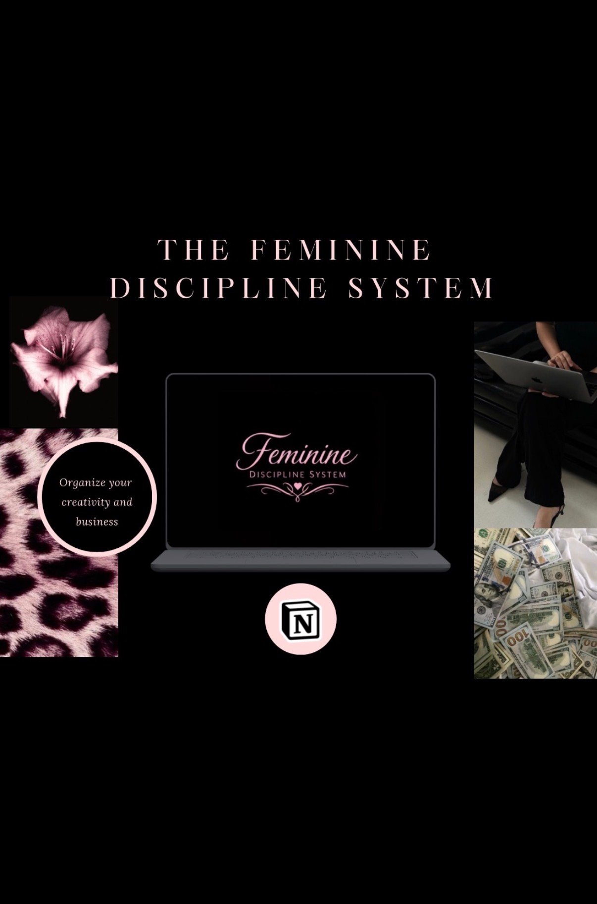The Feminine Discipline System - Payhip