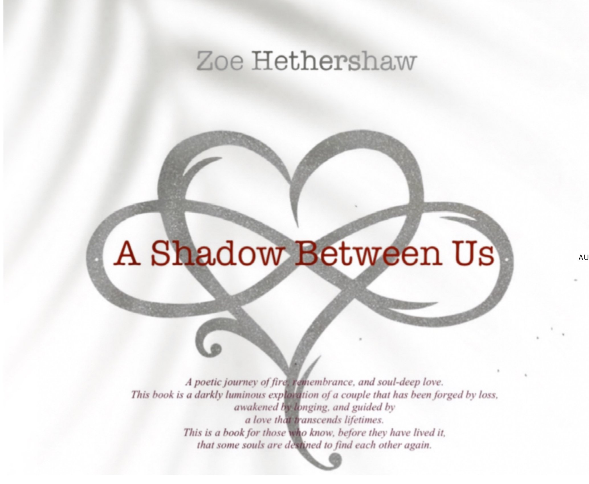 The Shadow Between Us - Payhip