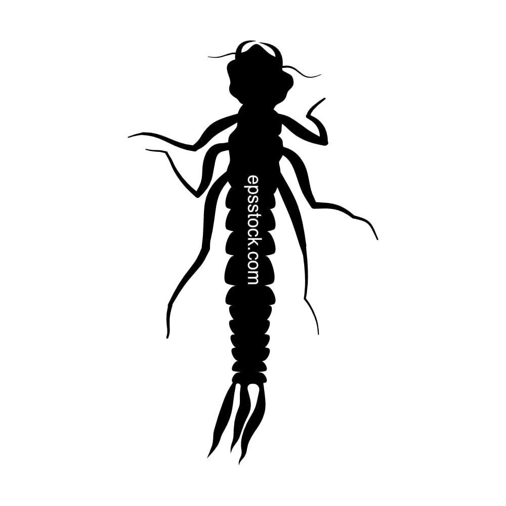 Mayfly nymph insect