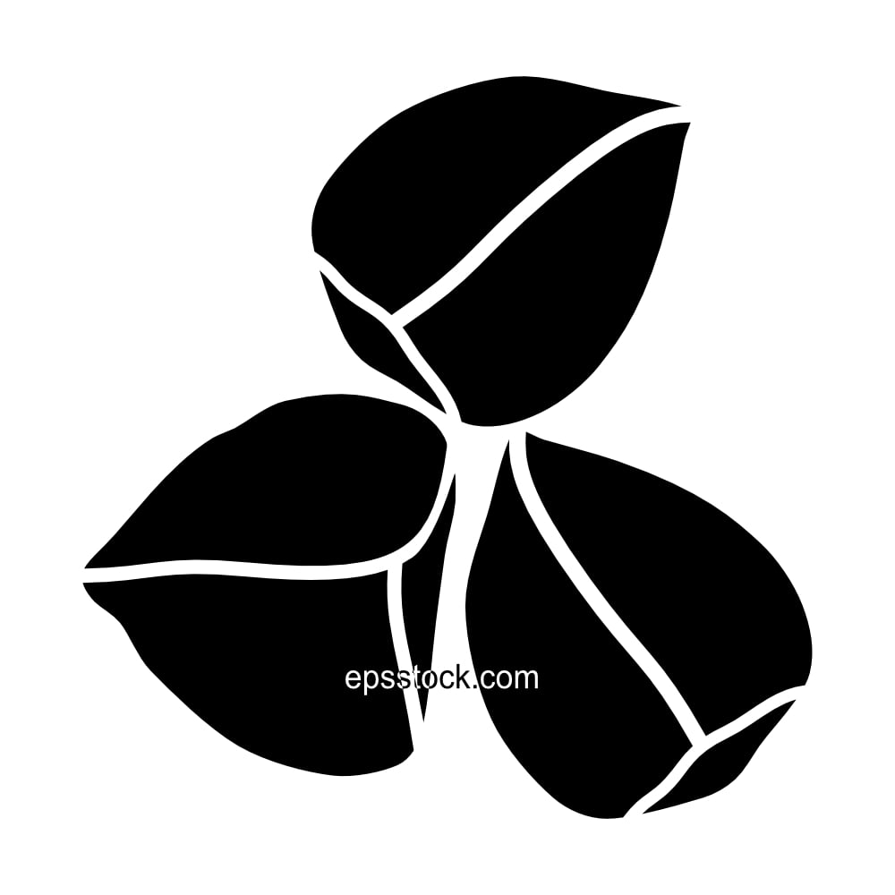 Organic Wingless Moringa seeds