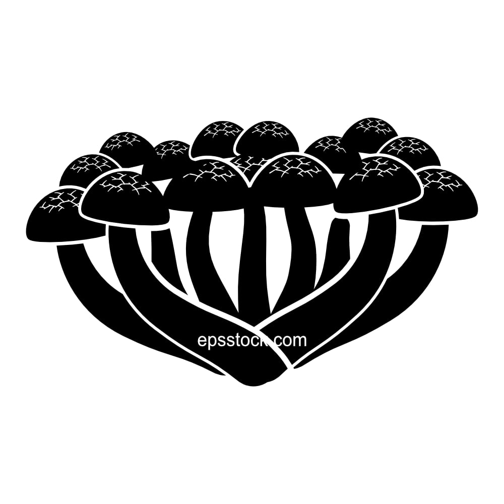 brown beech mushroom