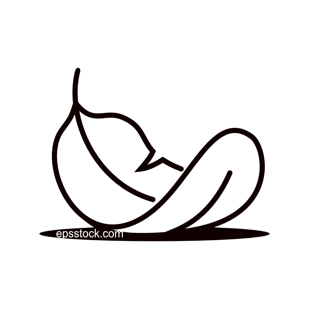 feather symbol