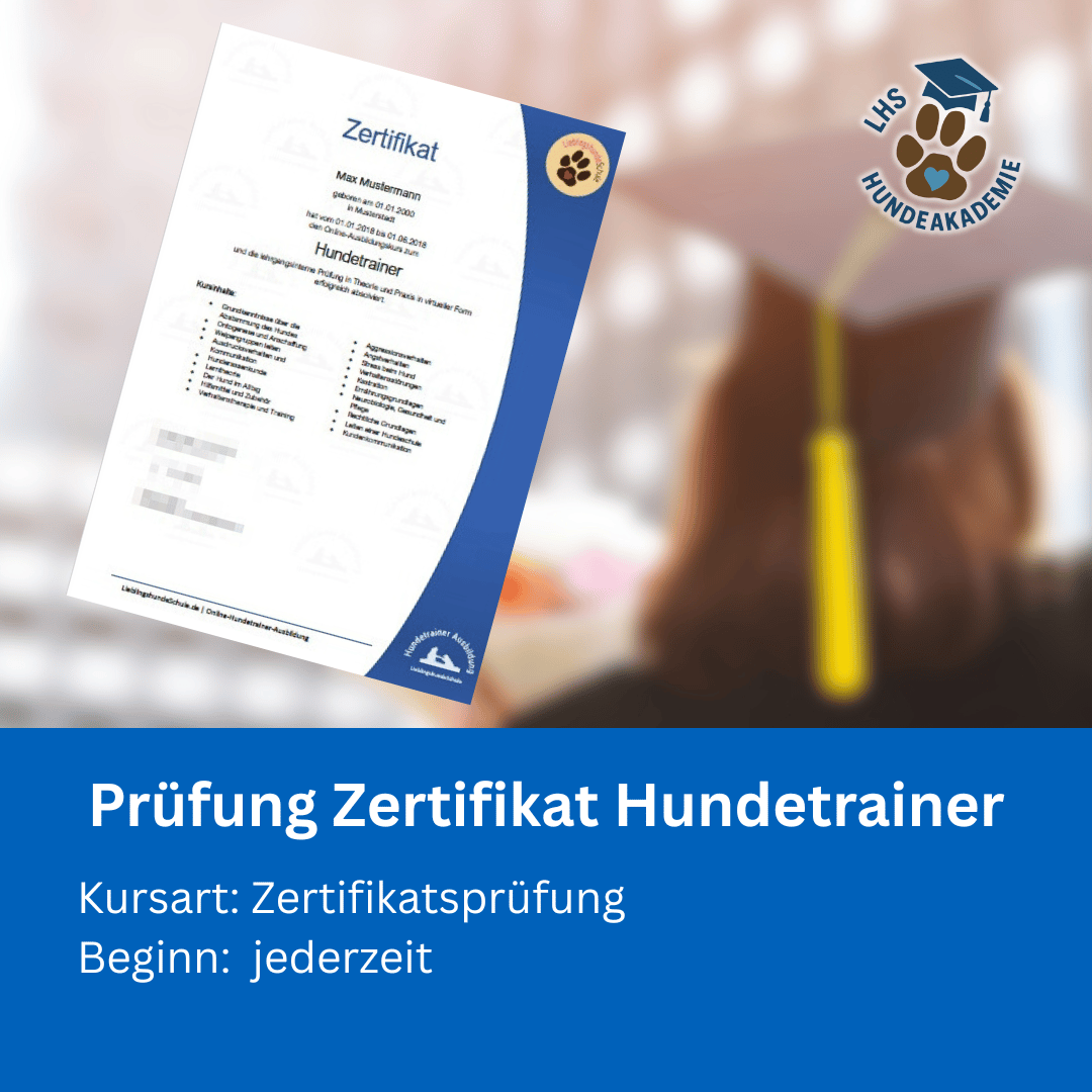 Hundetrainer Pruefung