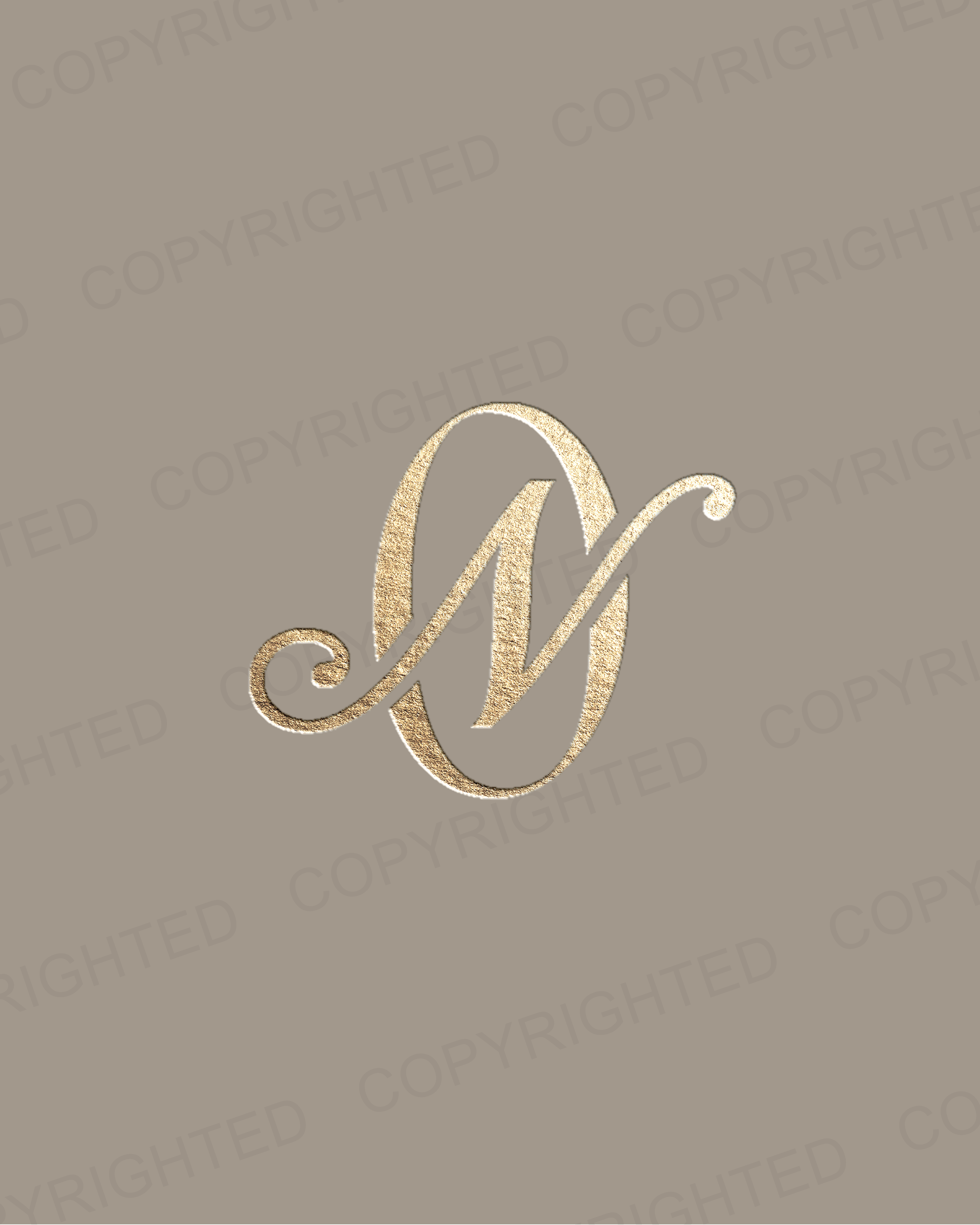 Logo- N - Payhip