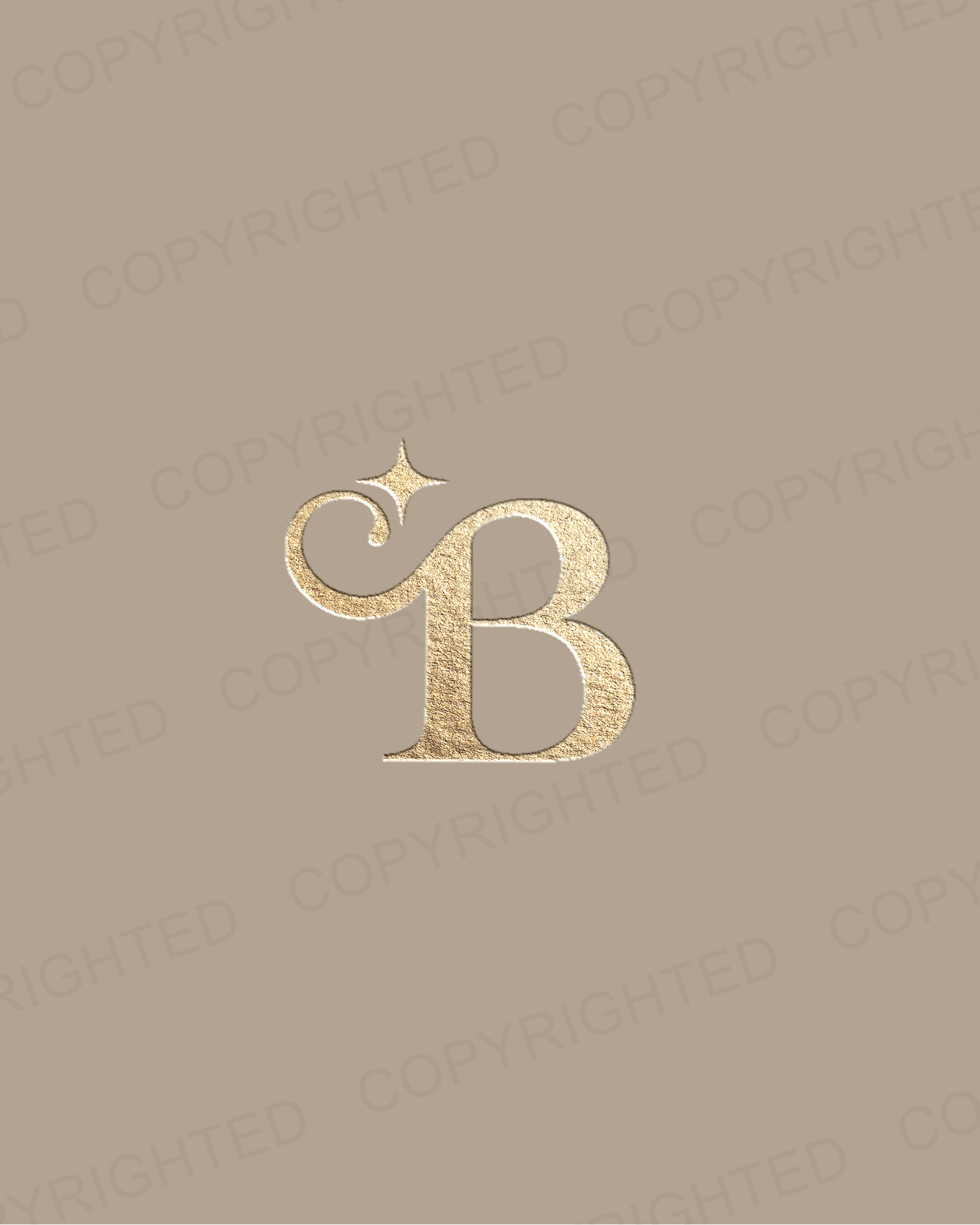 Logo- B - Payhip