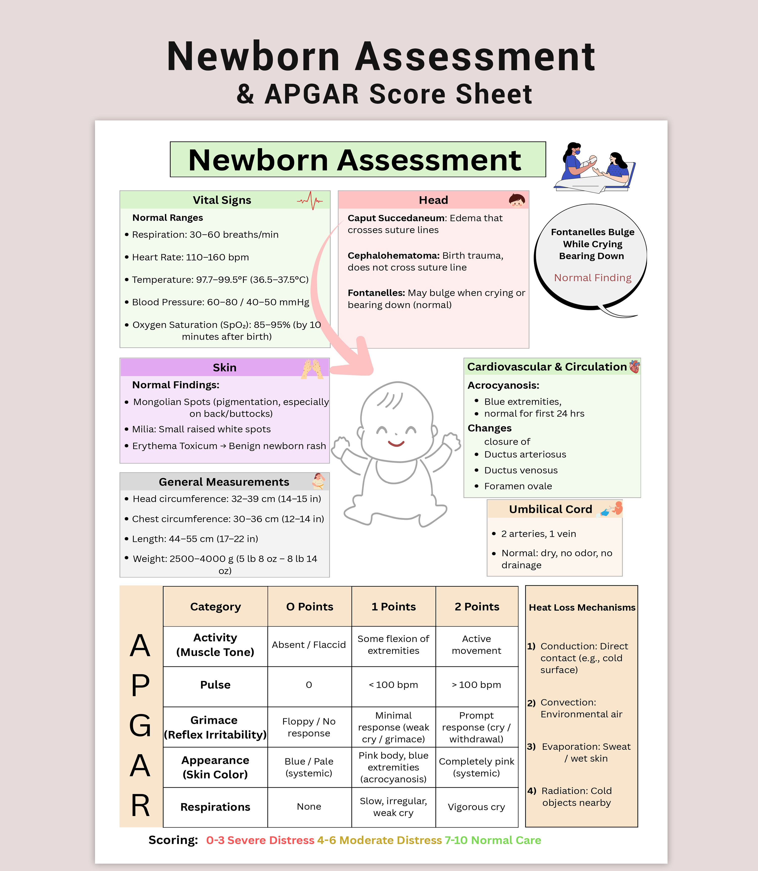 NICU Nursing Newborn Assessment PDF | Vital Signs Ranges APGAR Scoring ...