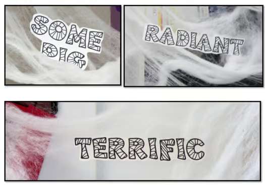 Charlotte's Web Activities