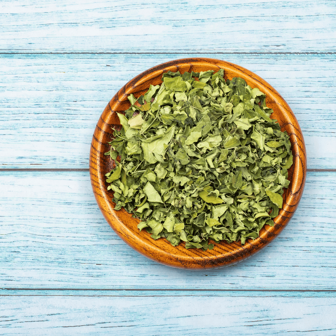 moringa teblad