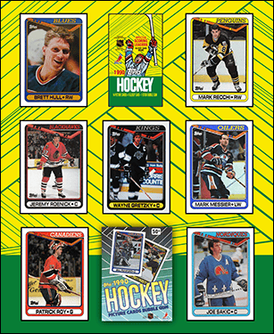 1990-91 Topps Hockey Cards Binder Inserts